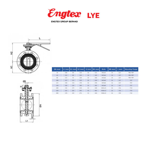 LYE Concentric Flanged Butterfly Valve