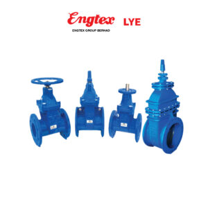 LYE Resilient Seated Gate Valve